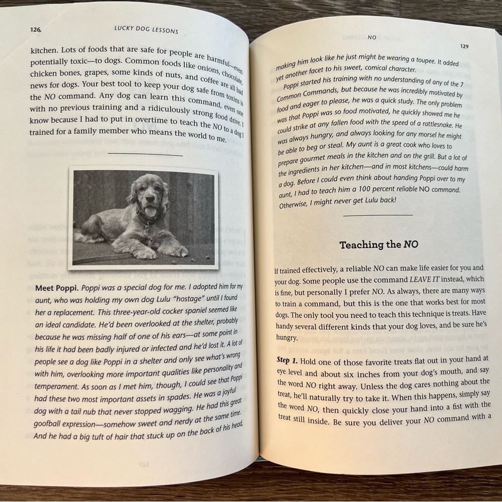 Lucky Dog Lessons book - Picture 3 of 5